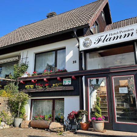 Hotel-Pension Flamm Браунлаге Екстериор снимка